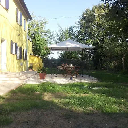 Terramarique *